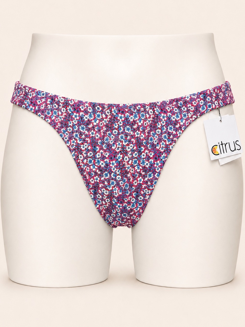 Citrus Floral Bikini Bottom Blue Pink Swim Bottom NWT